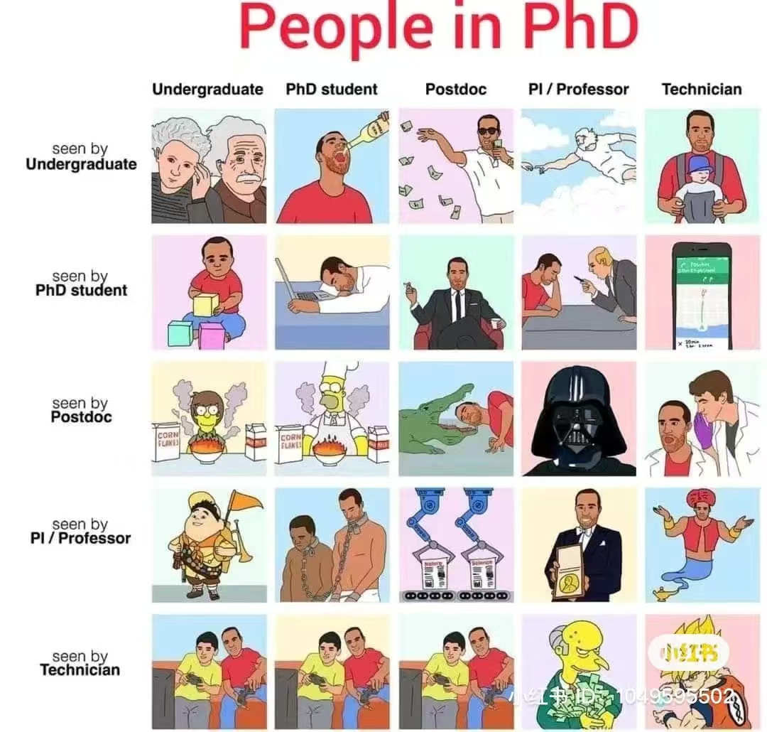 People in PhD meme